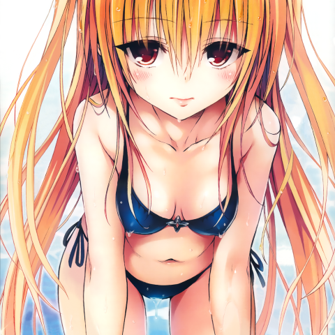 Konjiki No Yami, To Love Ru